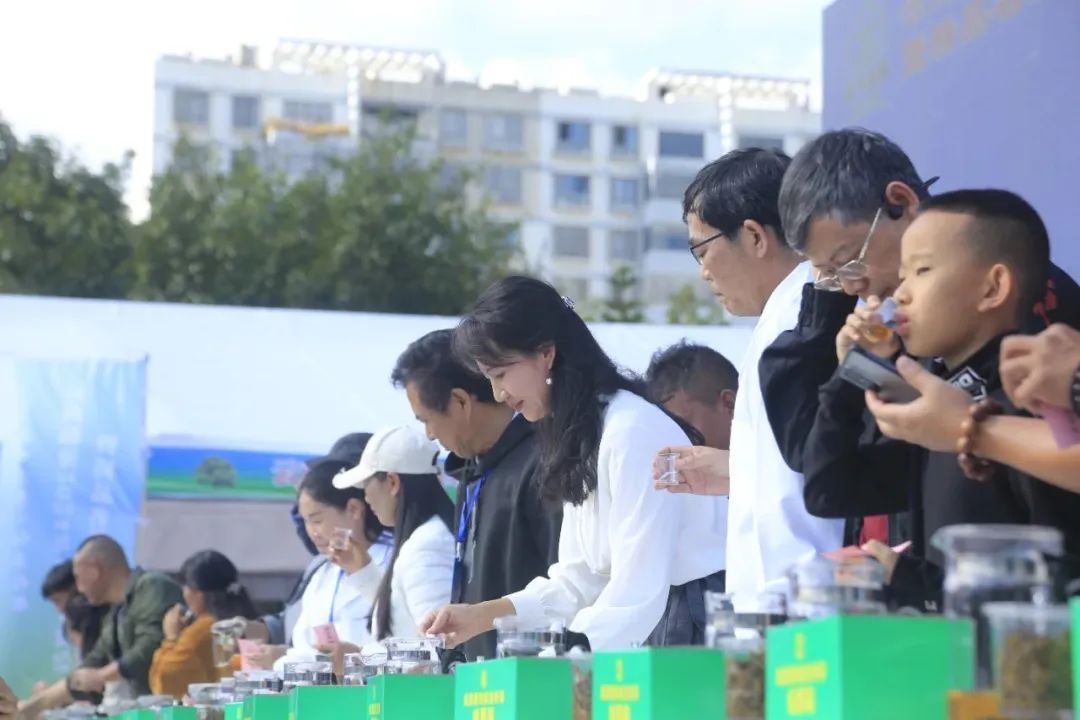 香港六宝典资料免费