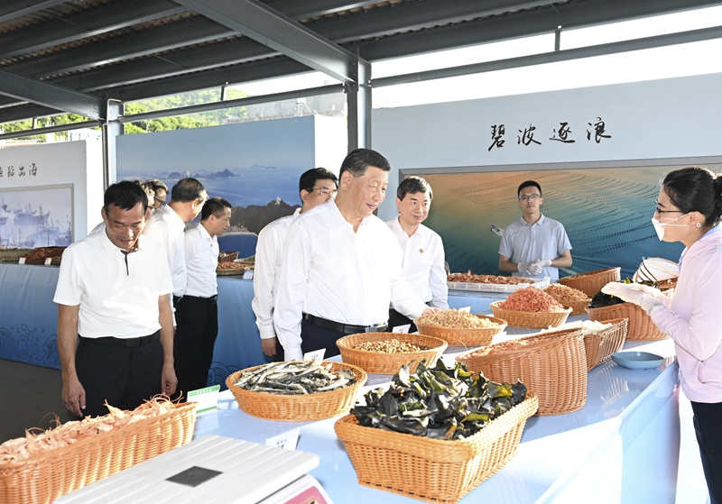 香港六宝典资料免费