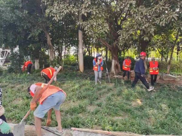 香港六宝典资料免费