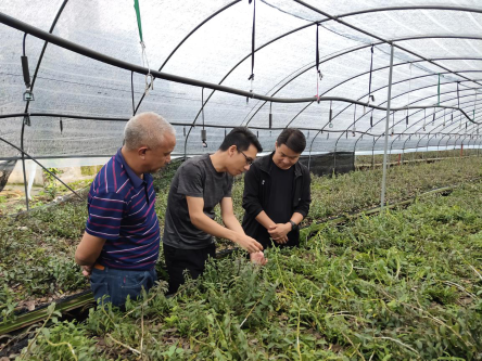 香港六宝典资料免费