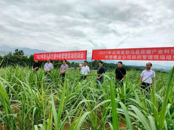 香港六宝典资料免费