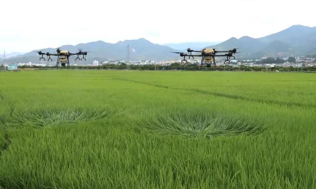 香港六宝典资料免费