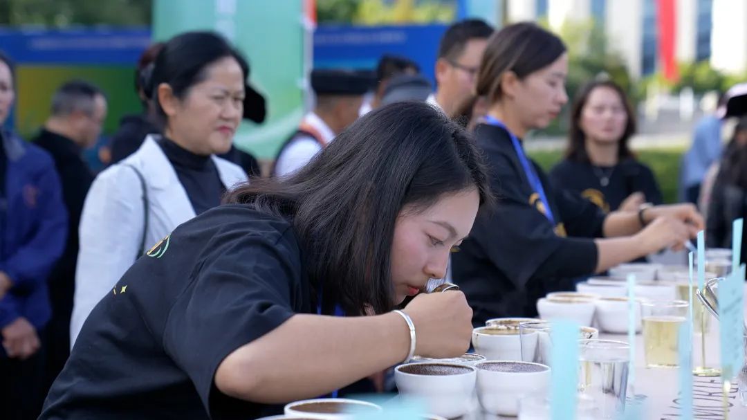 香港六宝典资料免费