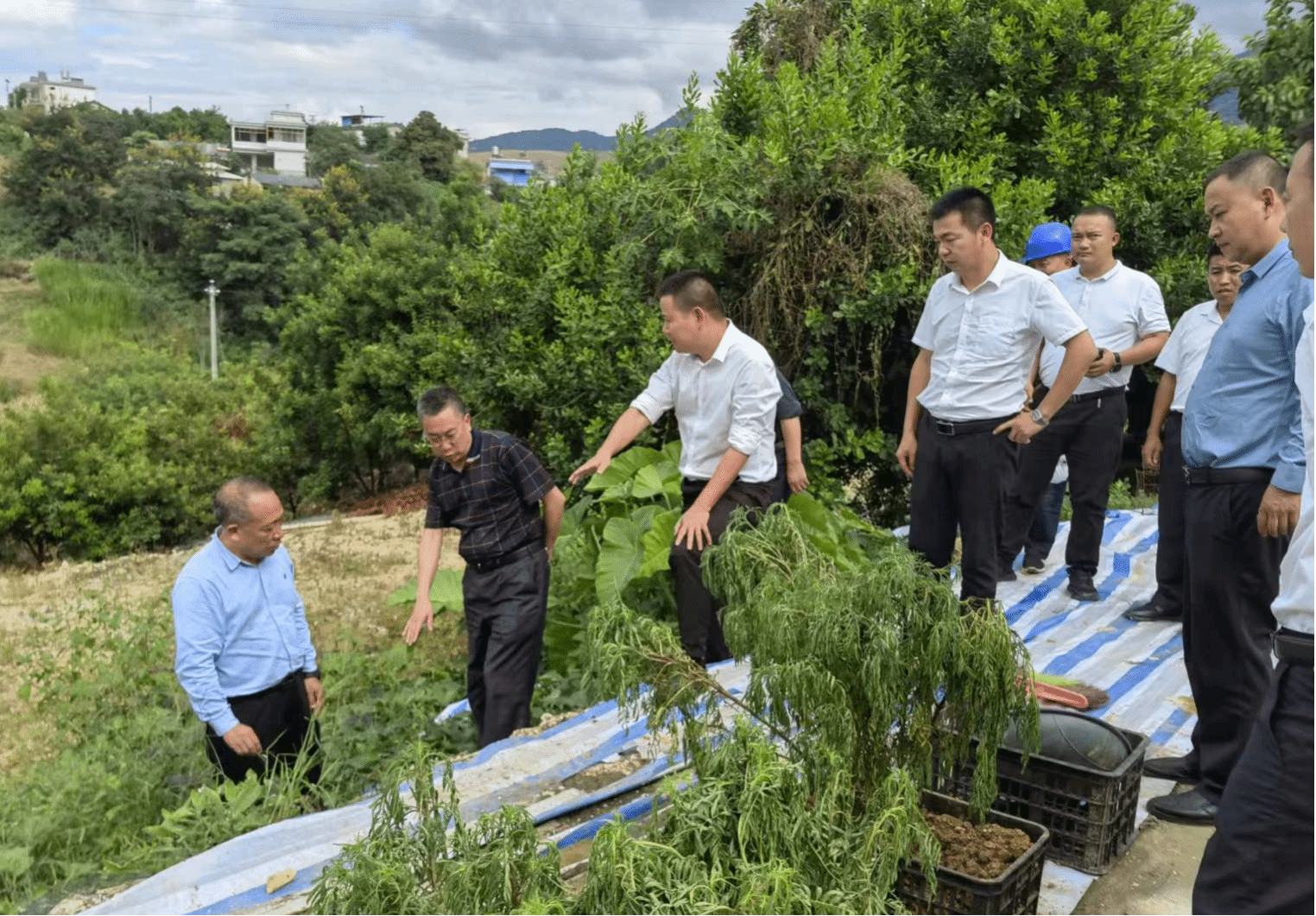 香港六宝典资料免费