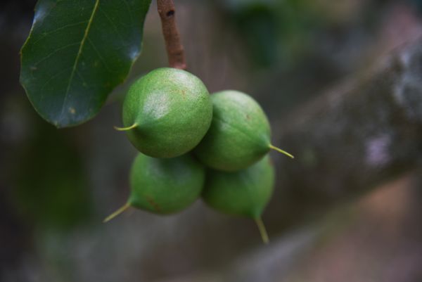 香港六宝典资料免费