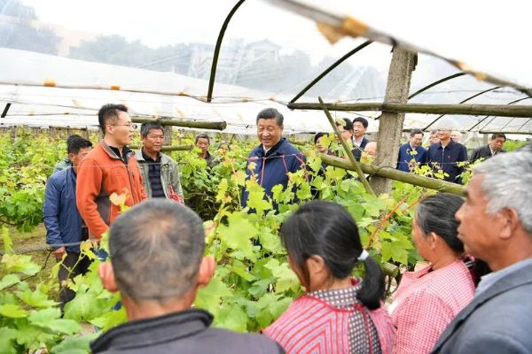 香港六宝典资料免费