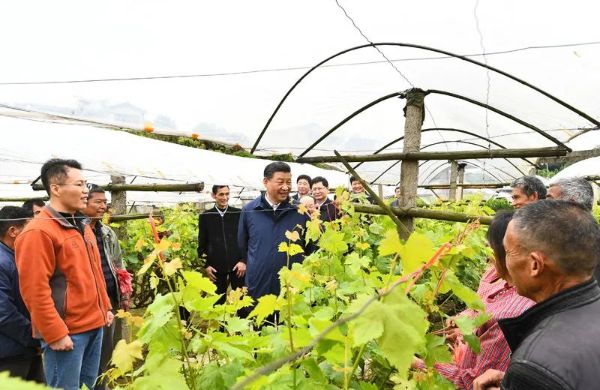 香港六宝典资料免费