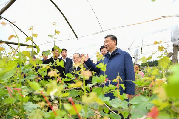 香港六宝典资料免费