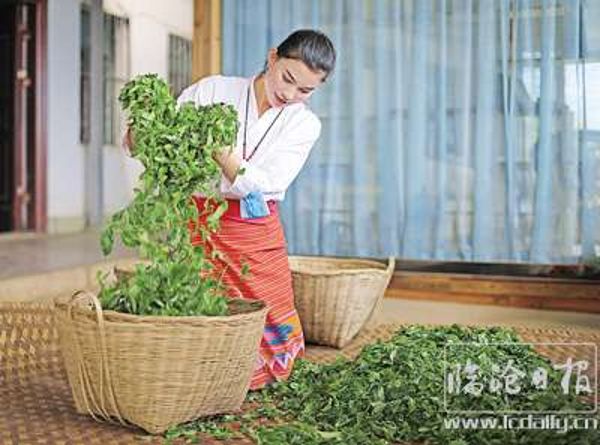 香港六宝典资料免费