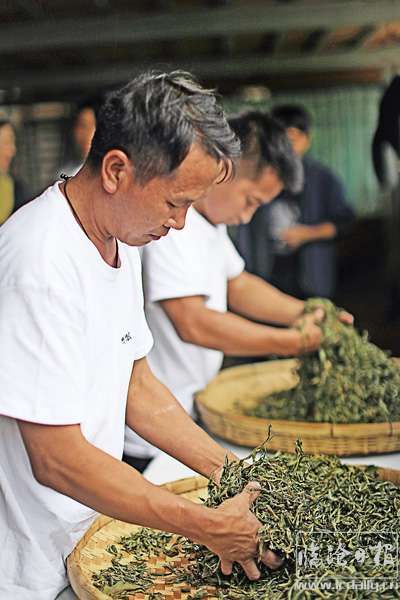 香港六宝典资料免费