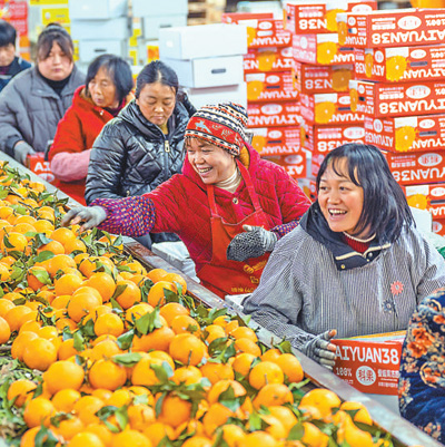 香港六宝典资料免费