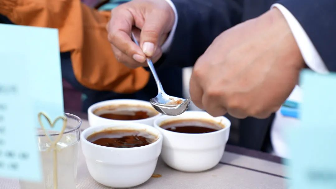 香港六宝典资料免费