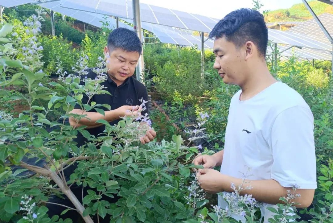 香港六宝典资料免费