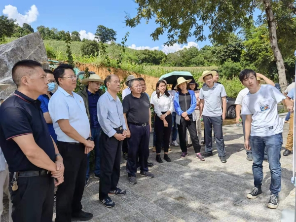 香港六宝典资料免费